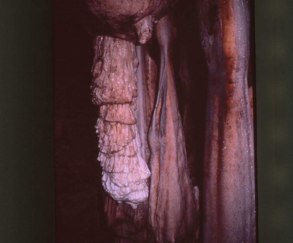 Mayategning på stalakmit Naj Tunich.jpg